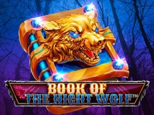 Book Of The Night Wolf thumbnail